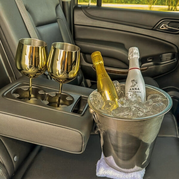 Exclusive transportation service in puerto vallarta00004