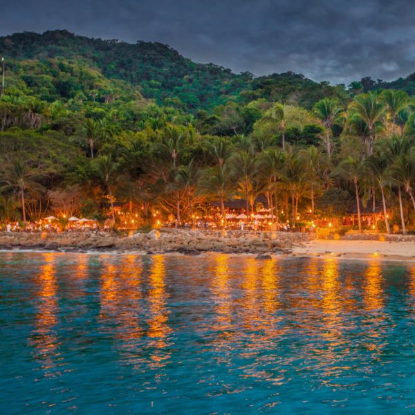 Rhythms of the night